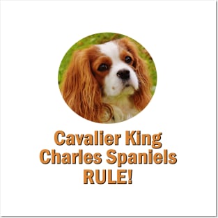 Cavalier King Charles Spaniels Rule! Posters and Art